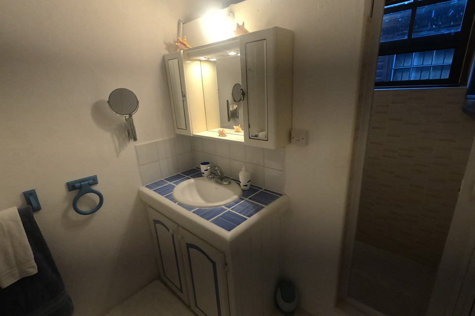Blue Ocean Villa - Bathroom