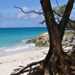 Beach Apartments in Barbados