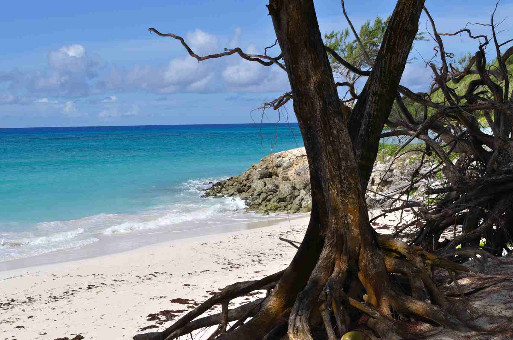 Beach Apartments in Barbados