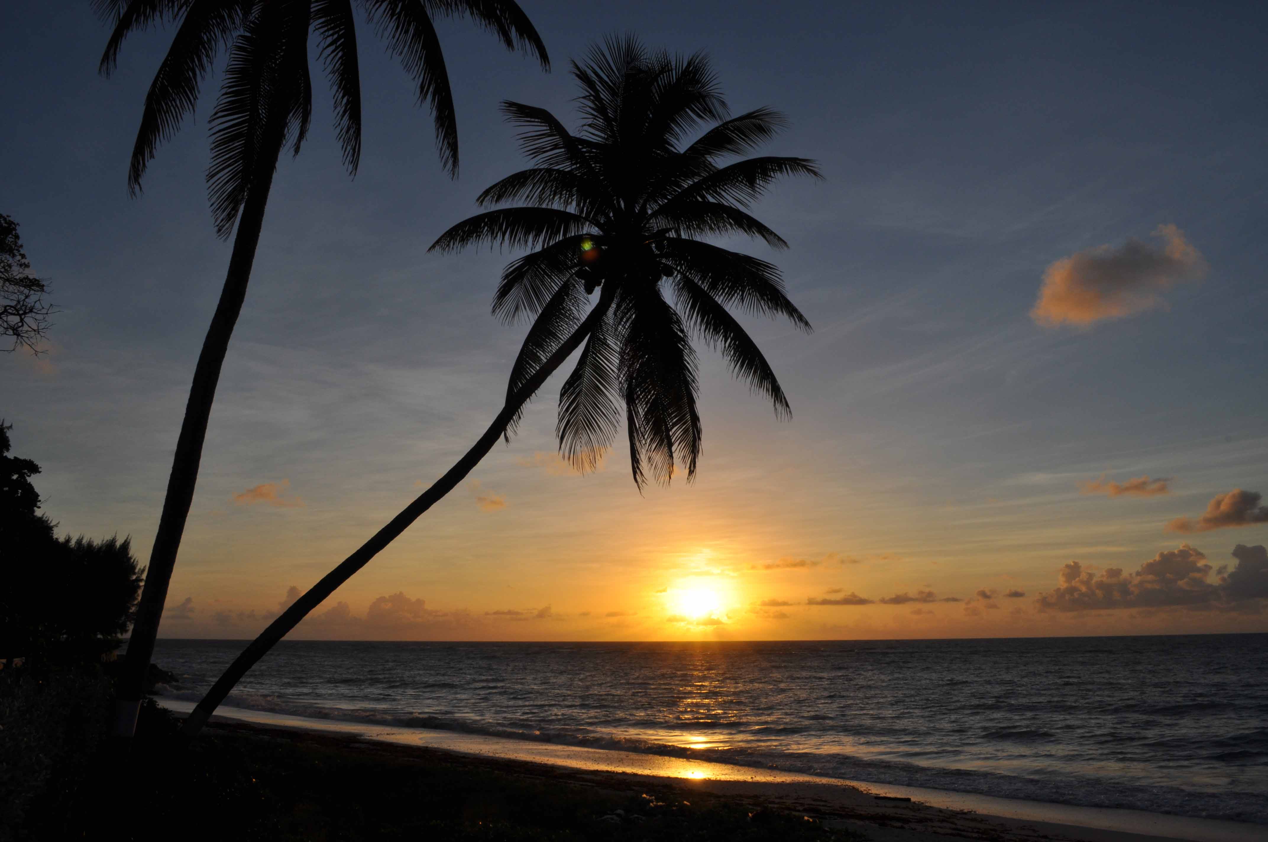 Sunrise at Silver Sands Beach - BARBADOS